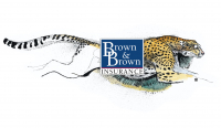 brown and brown insurance logo