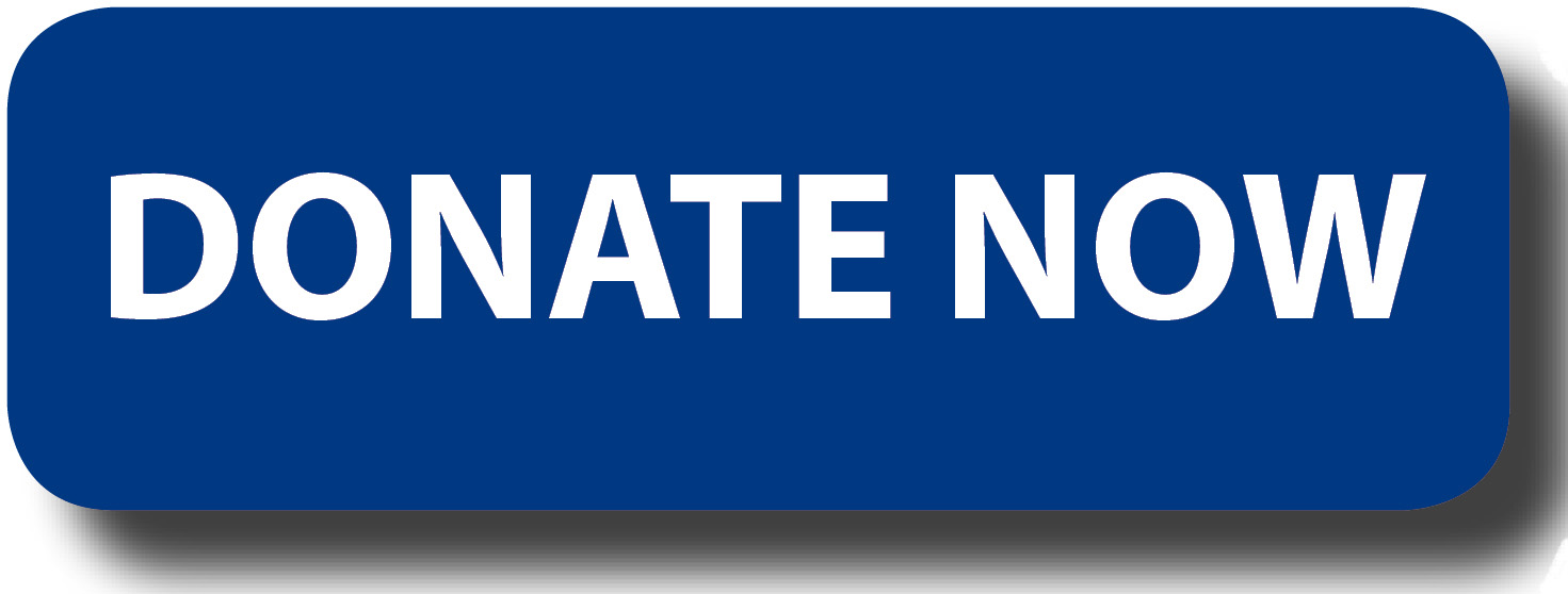 blue donate button